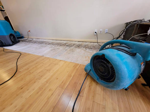 Professional Burst Pipe Water Damage technician working in Gorman, TX